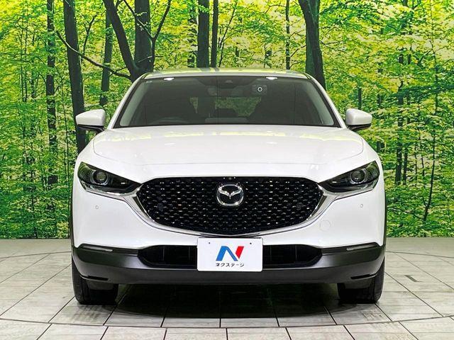 CX-30(新潟県長岡市)