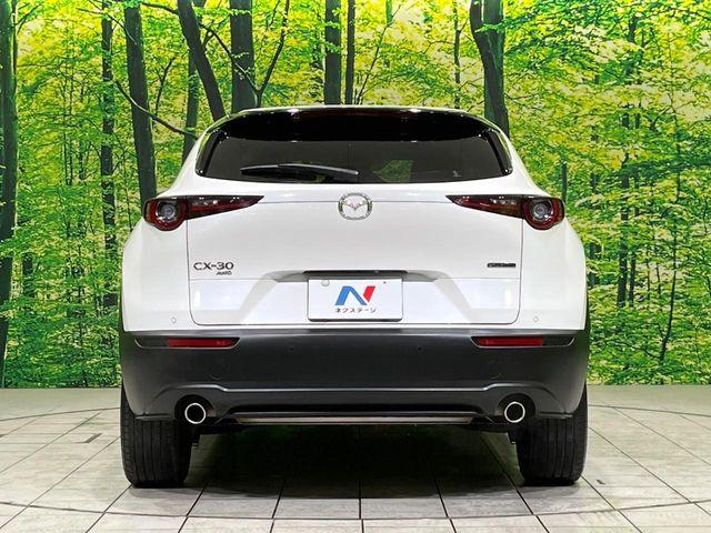 CX-30(新潟県長岡市)