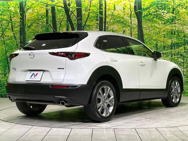 CX-30(新潟県長岡市)