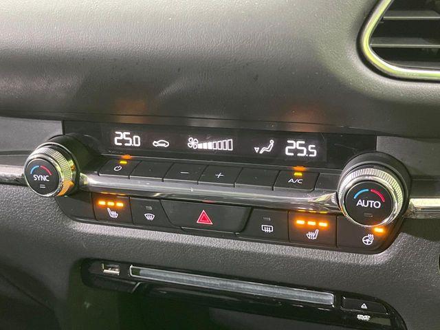 CX-30(新潟県長岡市)