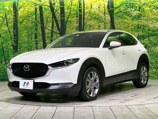 CX-30(新潟県長岡市)