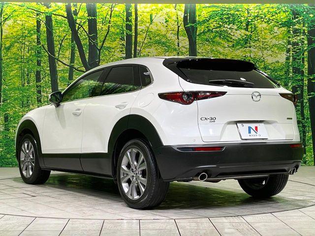 CX-30(新潟県長岡市)