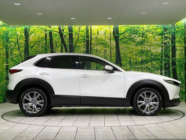 CX-30(新潟県長岡市)