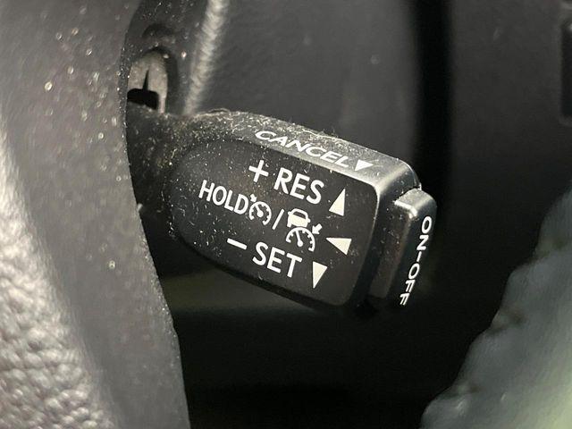 アルファード(新潟県新潟市東区)