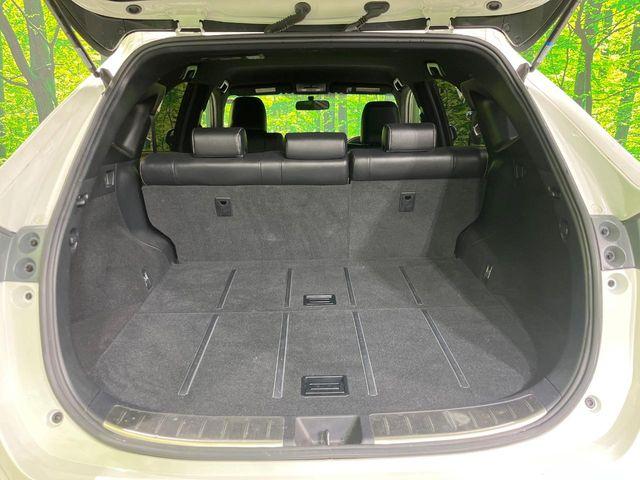 ハリアー（新潟県長岡市）