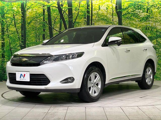 ハリアー（新潟県長岡市）