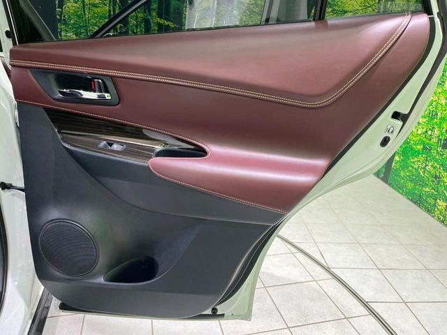 ハリアー（新潟県長岡市）