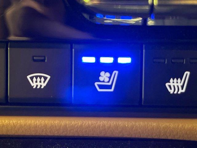 CX-60（新潟県新潟市東区）画像6