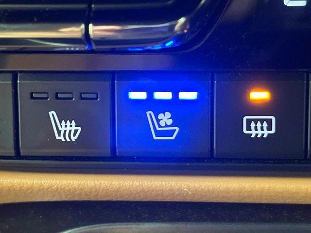 CX-60（新潟県新潟市東区）画像61