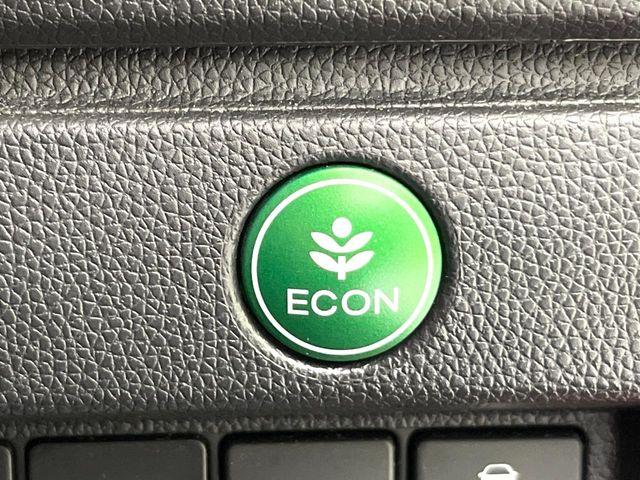 フィット（新潟県新潟市東区）