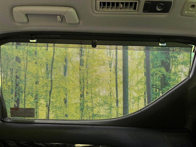 アルファード(新潟県新潟市東区)