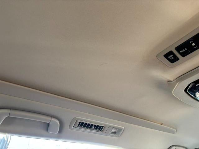 ヴェルファイア（新潟県長岡市）