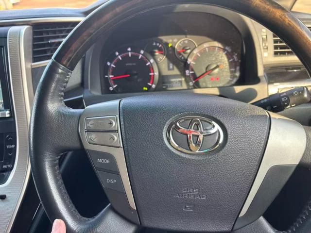 ヴェルファイア（新潟県長岡市）