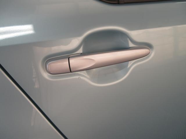 ミライース（新潟県新潟市南区）