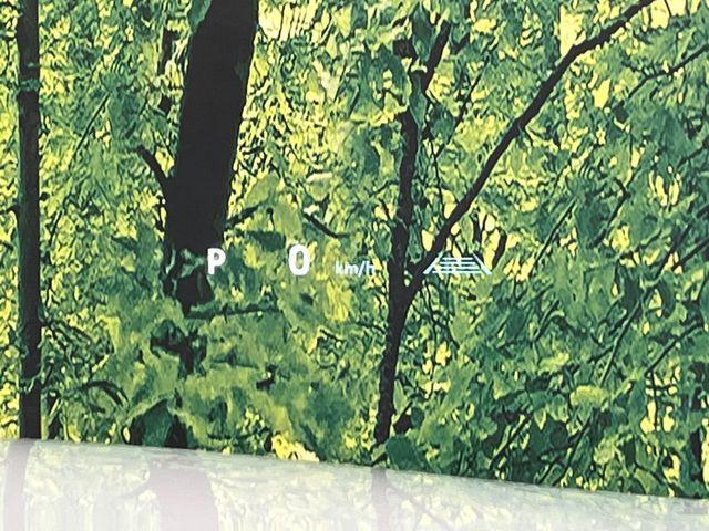 ハリアーハイブリッド(新潟県新潟市南区)