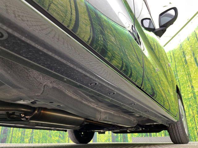 タント（新潟県新潟市南区）画像26