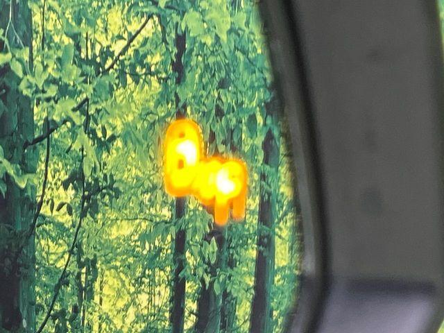 ＲＡＶ４（新潟県新潟市南区）画像5