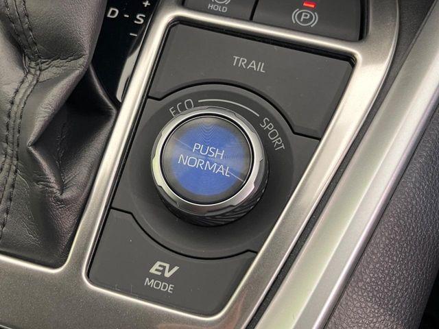 ＲＡＶ４（新潟県新潟市南区）画像69