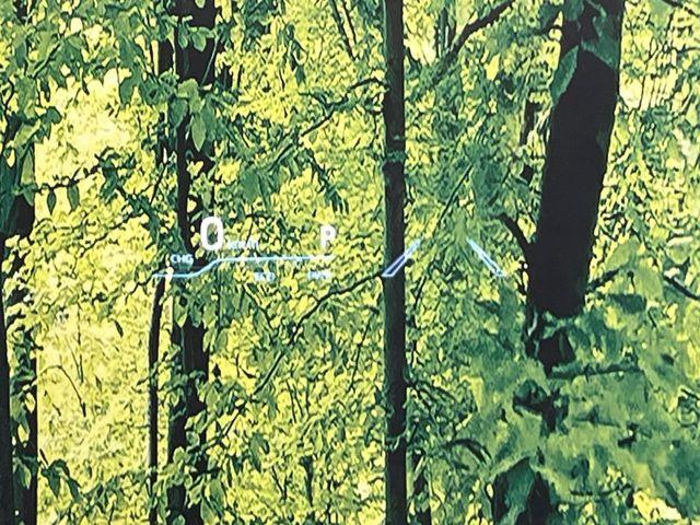 ハリアーハイブリッド（新潟県新潟市南区）