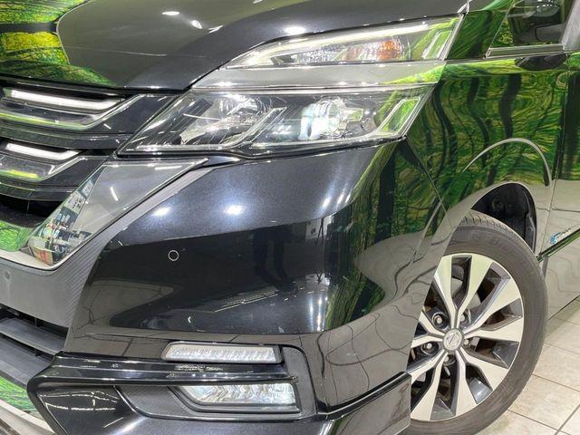 セレナ（新潟県長岡市）