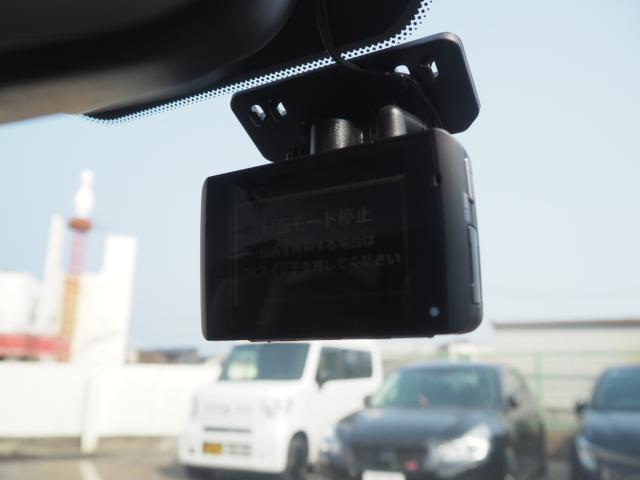 シーマハイブリッド(新潟県新潟市西区)