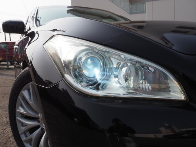 シーマハイブリッド(新潟県新潟市西区)