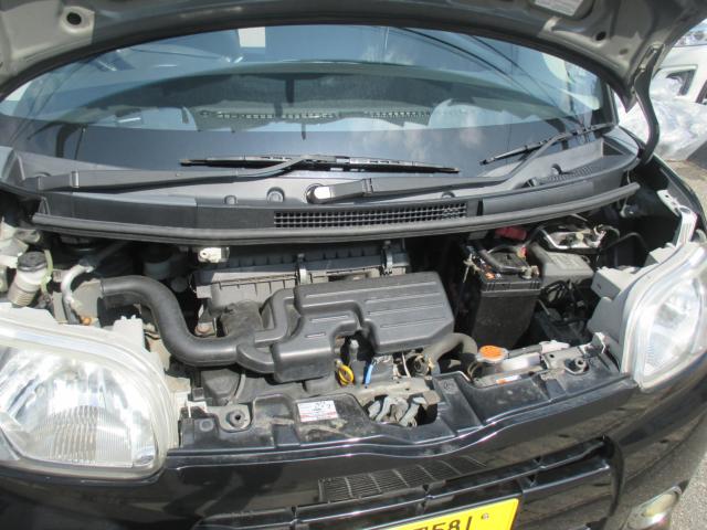 タント（新潟県新潟市西区）