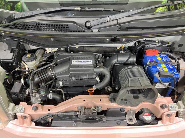 N＿BOX（新潟県長岡市）