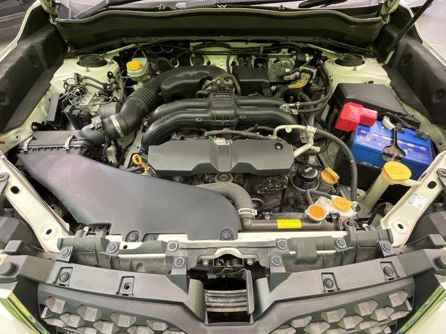 フォレスター（新潟県新潟市南区）画像19