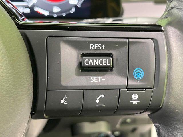 オーラ（新潟県長岡市）