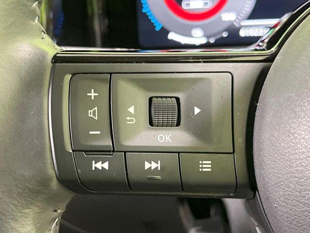 オーラ（新潟県長岡市）