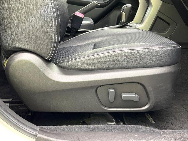 フォレスター（新潟県新潟市東区）