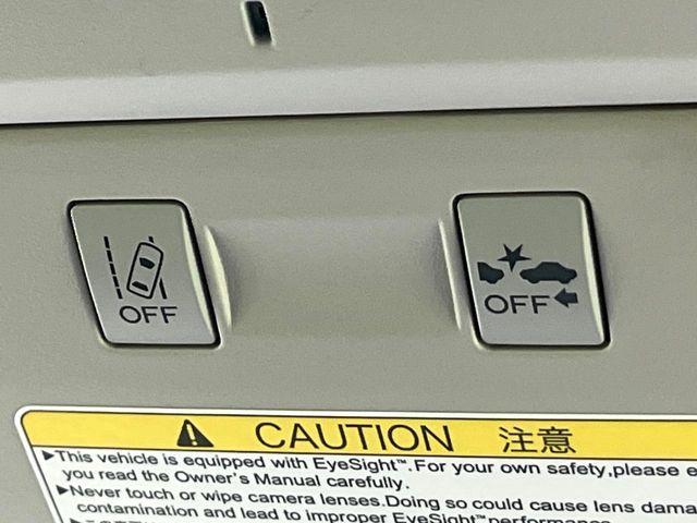 フォレスター（新潟県新潟市東区）