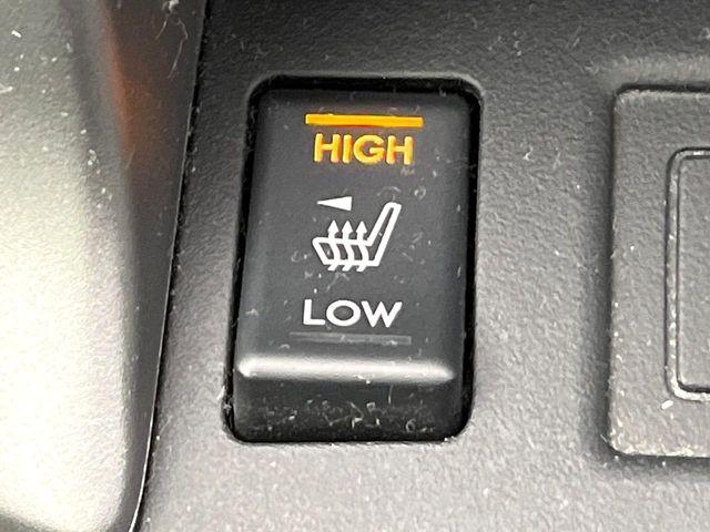 フォレスター（新潟県新潟市東区）