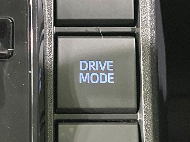 シエンタ（新潟県長岡市）