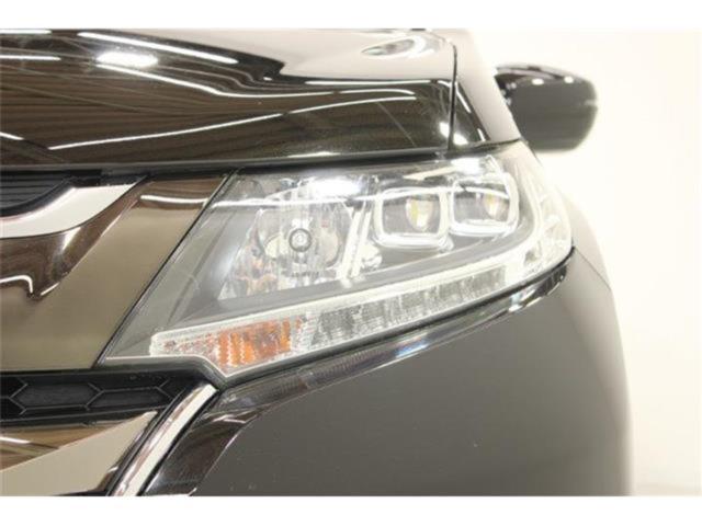 オデッセイ（新潟県新潟市東区）画像16