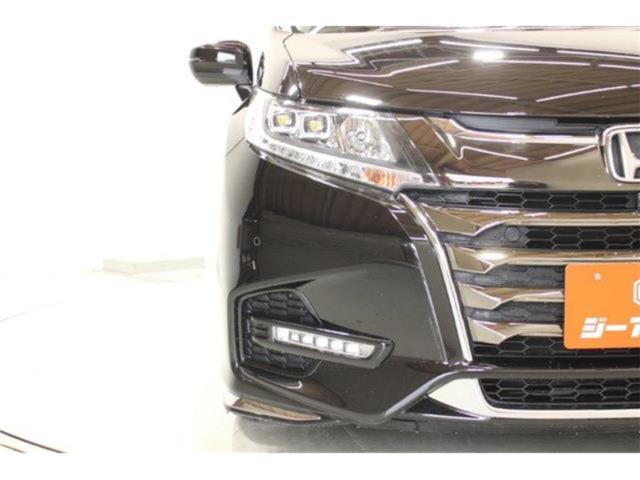 オデッセイ（新潟県新潟市東区）画像17