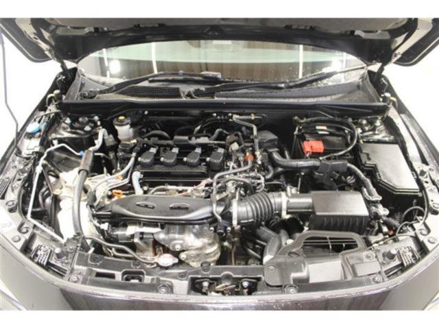 シビック（新潟県新潟市東区）画像71