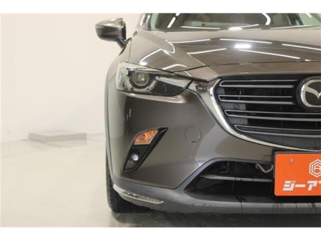 CX-3（新潟県新潟市東区）画像16