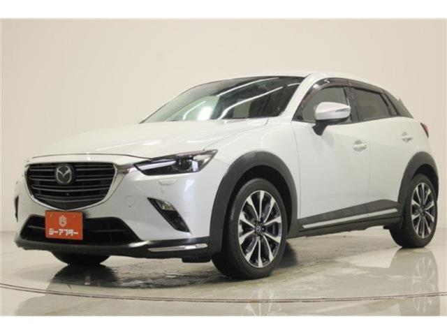 CX-3（新潟県新潟市東区）画像8