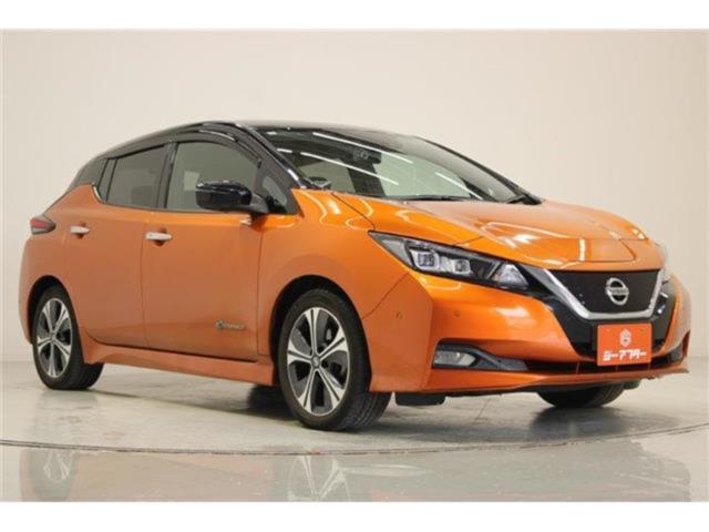 リーフ（新潟県新潟市東区）画像7