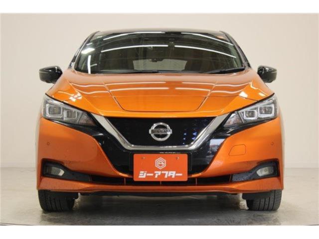 リーフ（新潟県新潟市東区）画像8