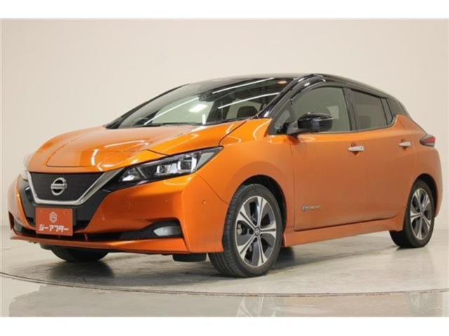 リーフ（新潟県新潟市東区）画像9