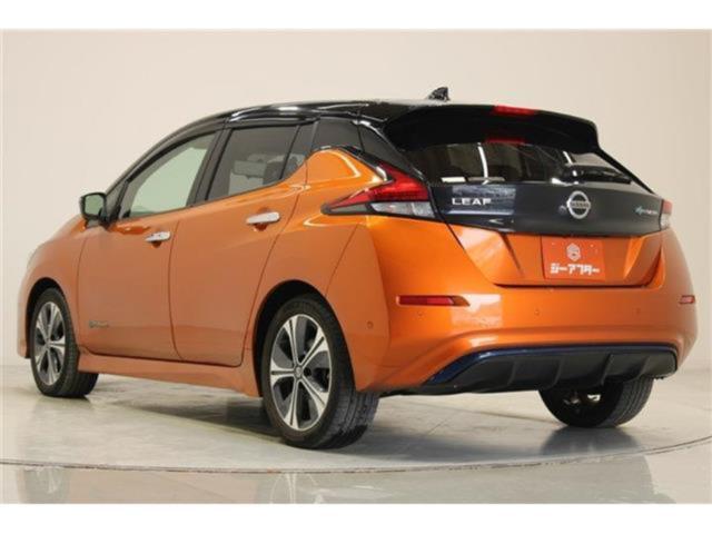 リーフ（新潟県新潟市東区）画像11