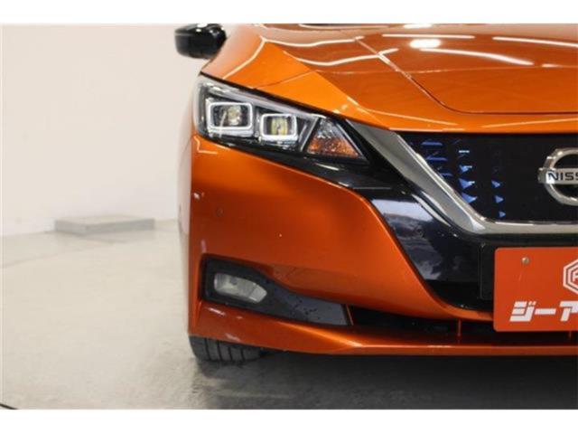 リーフ（新潟県新潟市東区）画像17