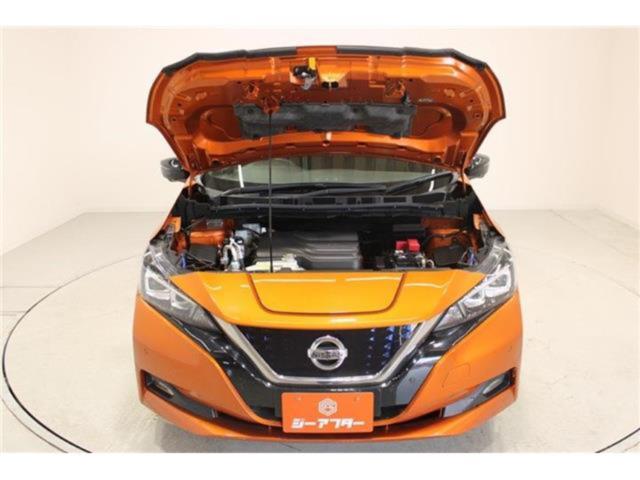 リーフ（新潟県新潟市東区）画像69