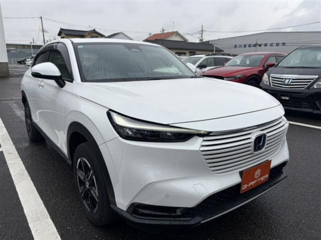 ヴェゼル（新潟県新潟市東区）