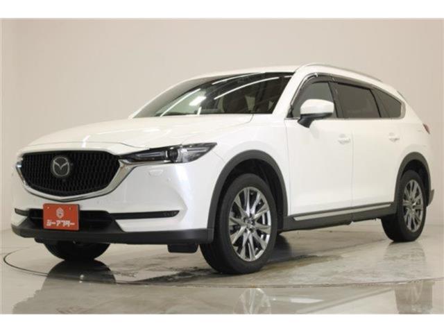 CX-8（新潟県新潟市東区）画像9