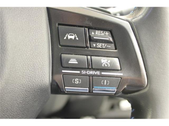 レヴォーグ(新潟県新潟市東区)