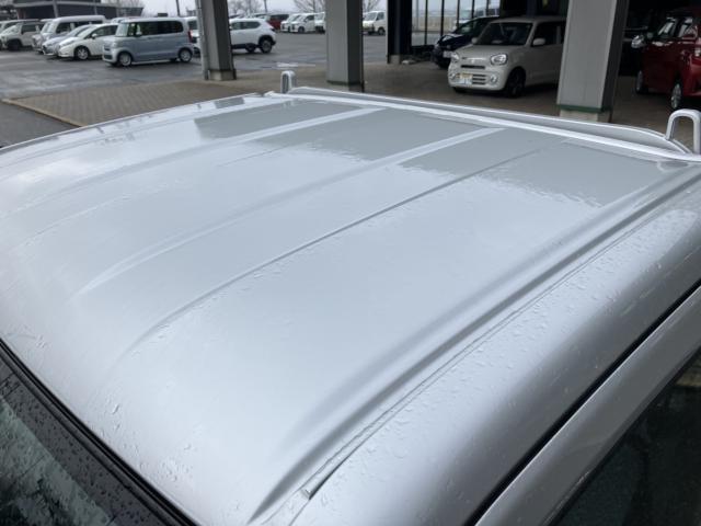 キャリイトラック(新潟県新潟市西蒲区)